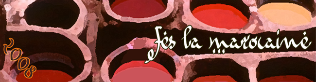 Visite de Fes au Maroc